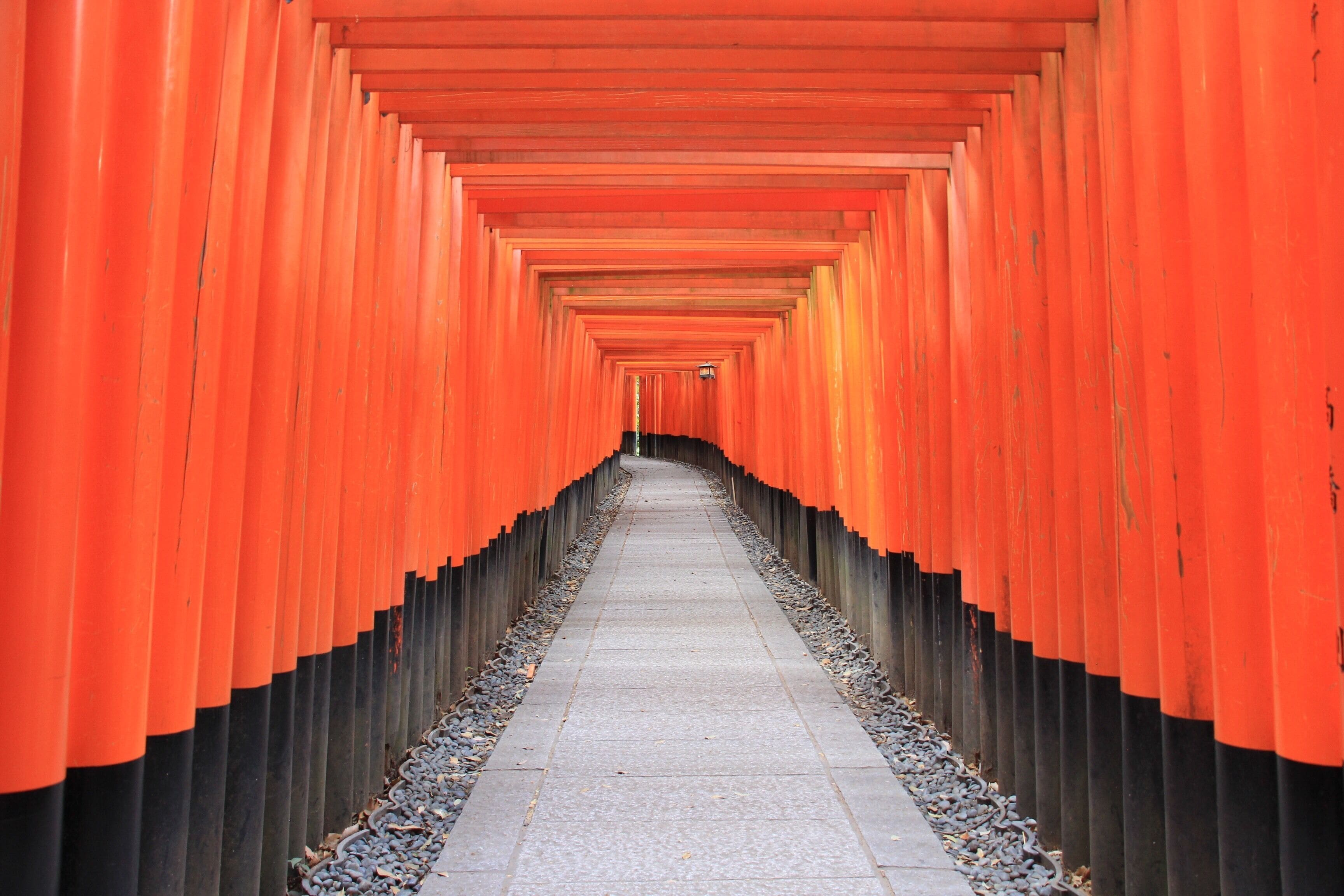 Photo - Hotel The M's Kyoto