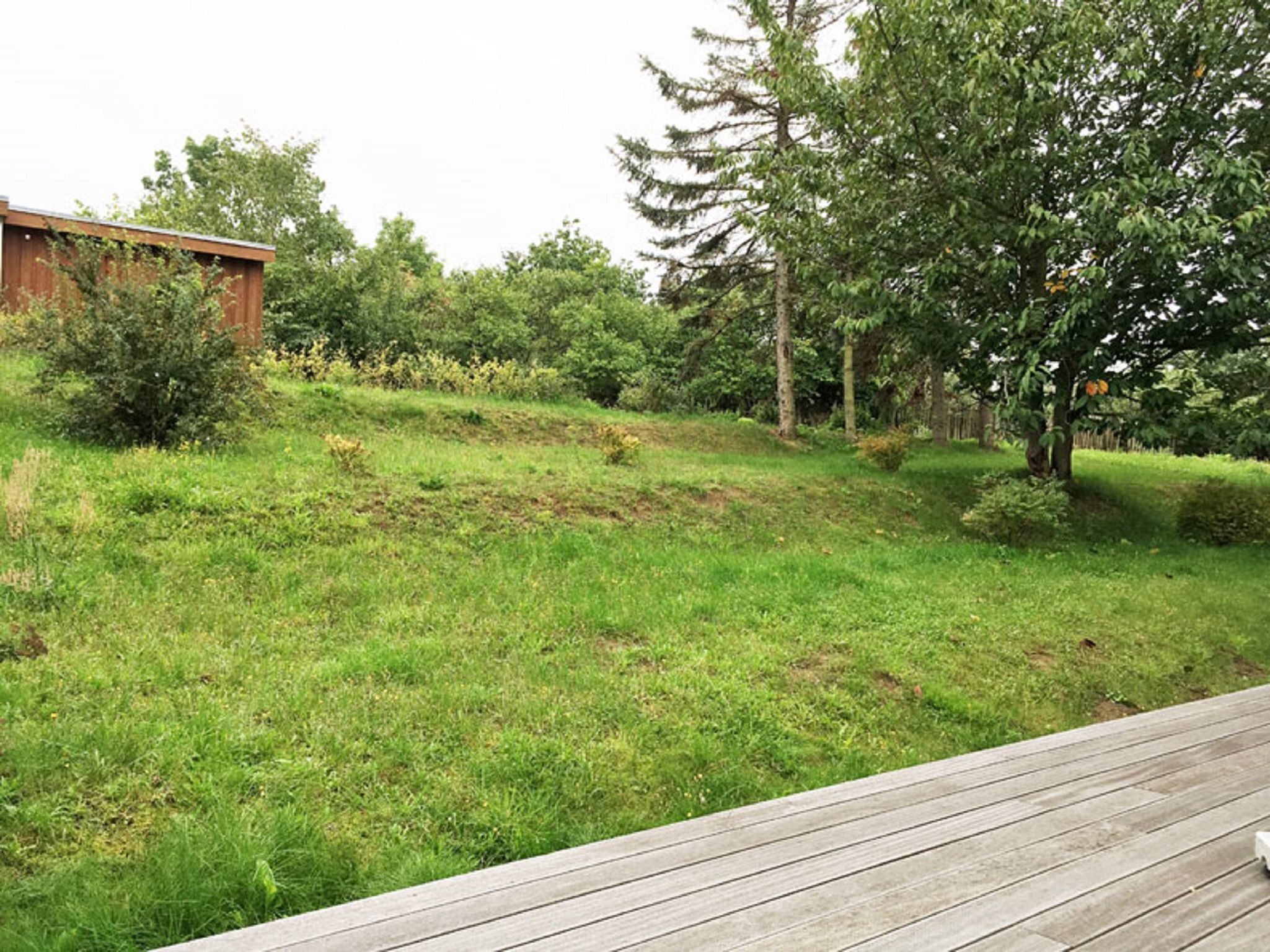 Eine begrünte Außenanlage mit einer Holzterrasse, Bäumen und einem Gebäude im Hintergrund.