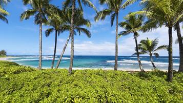 On the beach, sun loungers, beach towels