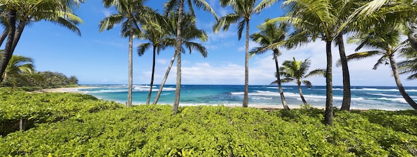 On the beach, sun-loungers, beach towels