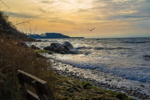 Un rivage rocheux avec un banc en bois, des vagues et une ligne d’arbres à l’horizon.