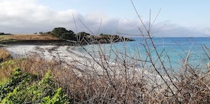 A coastal landscape with a beach, rocky shoreline, and sparse vegetation.
