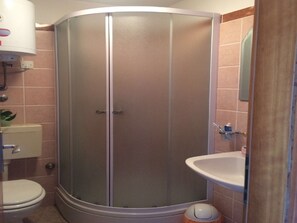 Bathroom features a corner shower enclosure, sink, and toilet.