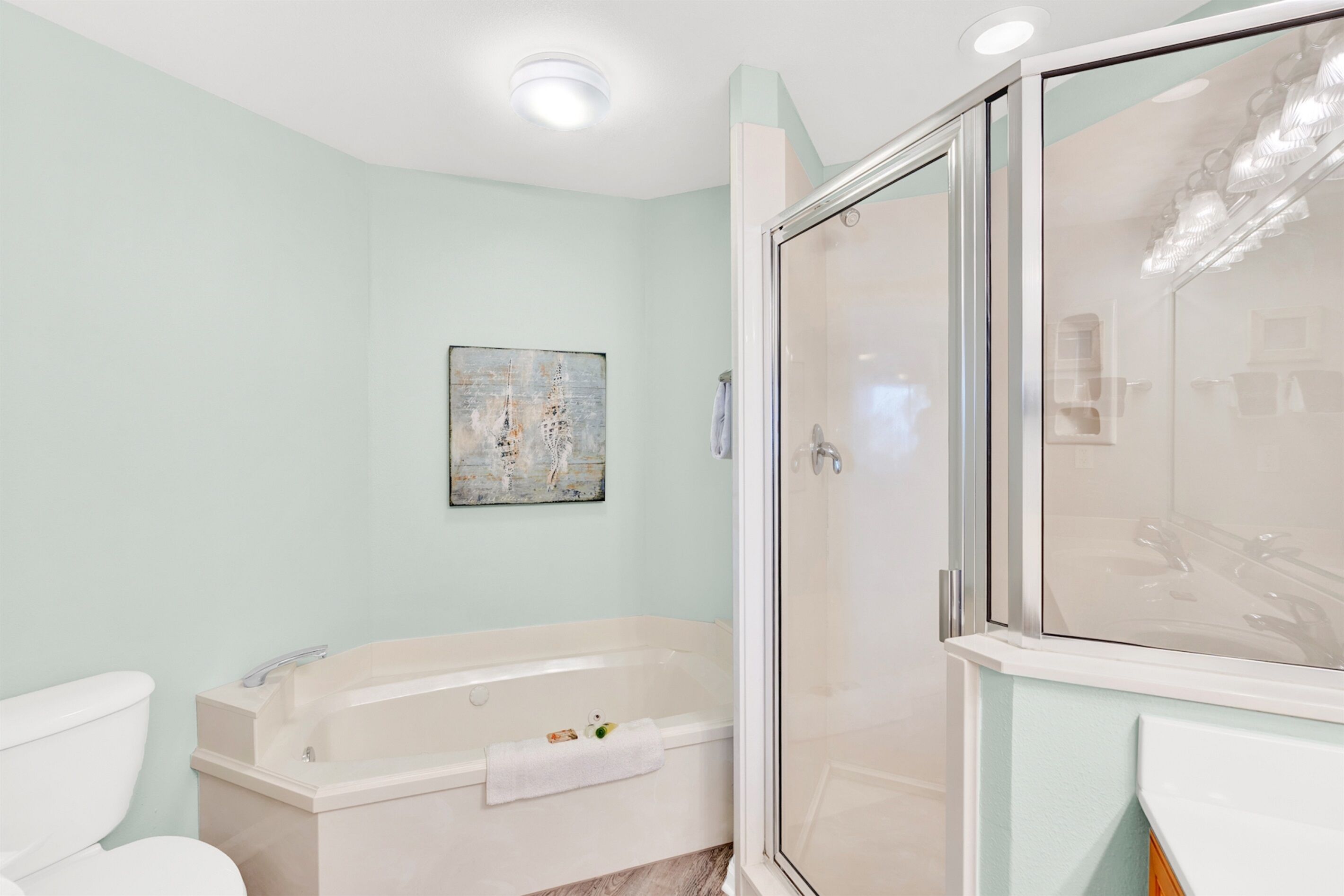 Une salle de bain avec une baignoire, une douche à parois de verre et des toilettes.