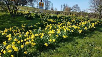 Jardines del alojamiento