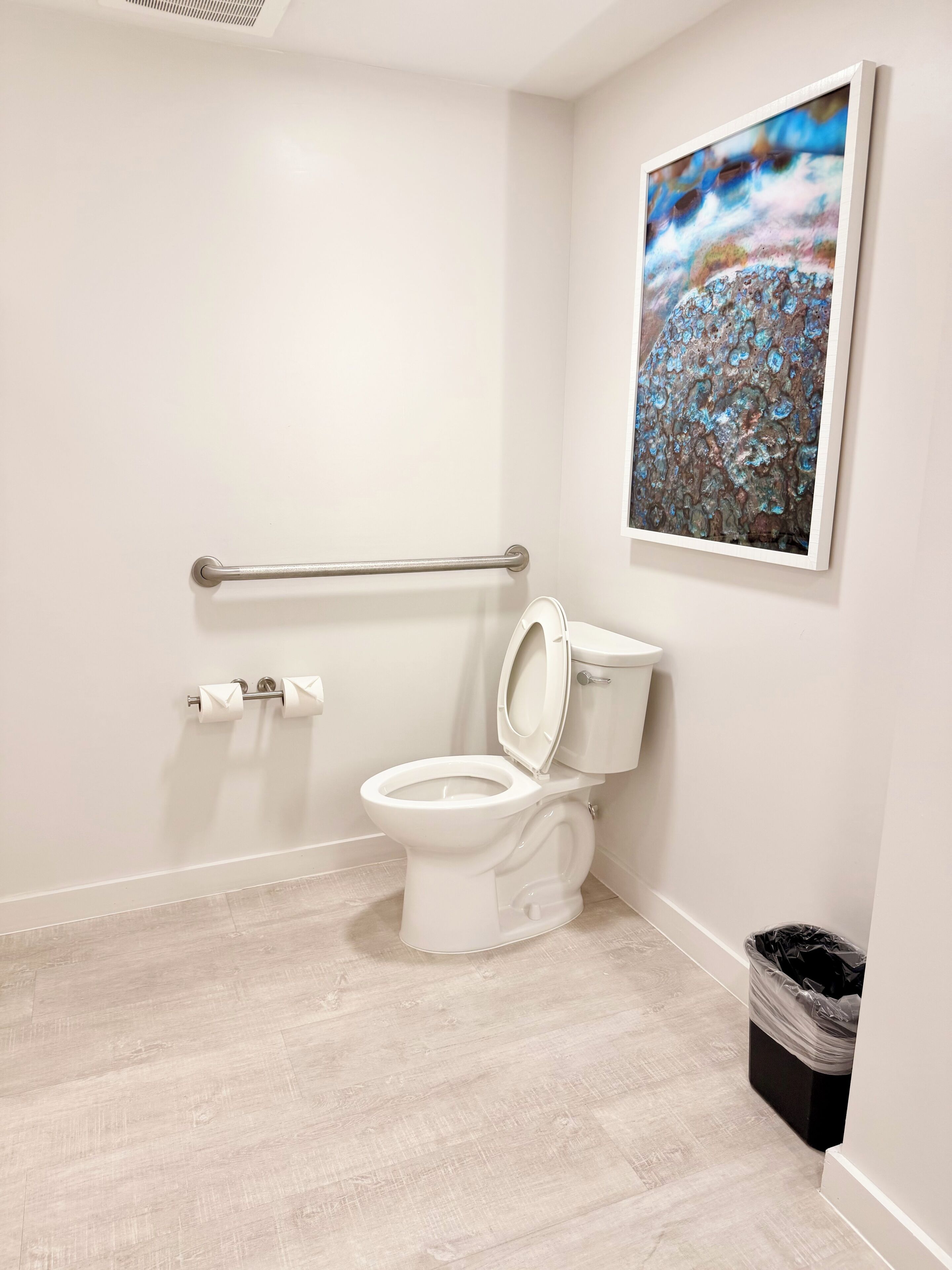 A bathroom with a white toilet, a handrail, a trash bin, and a painting on the wall.