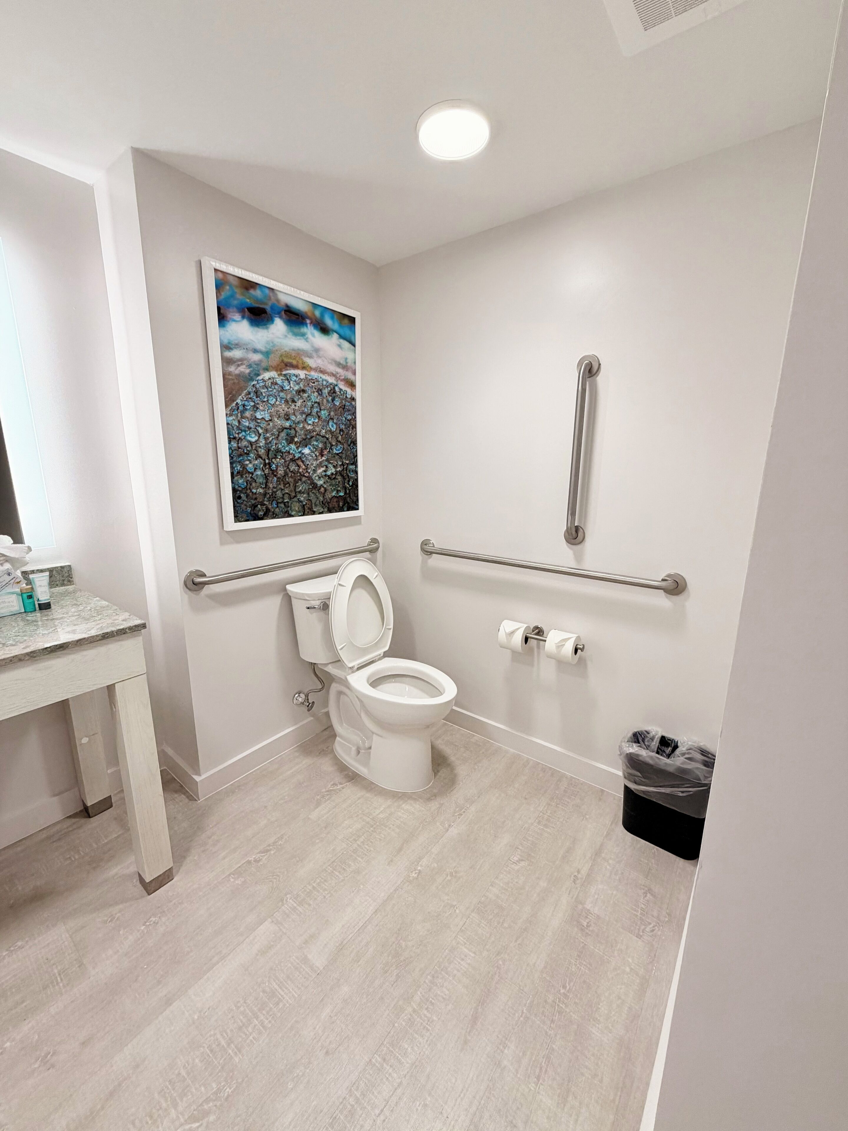 A modern bathroom with a toilet, grab bars, a trash bin, and a painting on the wall.