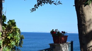 Ein Balkon mit Blumentopf und Meerblick.
