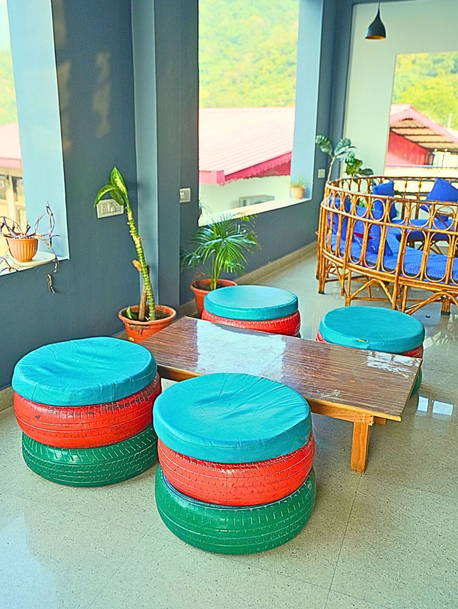 A seating area with round tables and chairs, a potted plant, and a view of the outdoors.
