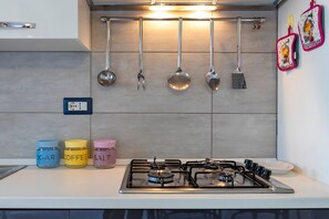 Fridge, microwave, stovetop, dishwasher