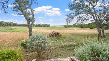 Kabin, 1 kamar tidur | Halaman properti