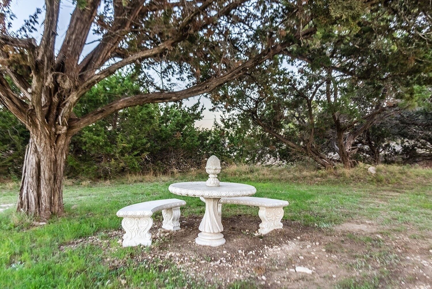 Ein Garten mit einem Steintisch und Bänken unter einem großen Baum.