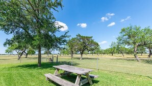 A picnic table in a grassy park area with trees and a clear sky. - Oma's Haus 2 Bedroom Home by RedAwning (Fredericksburg)