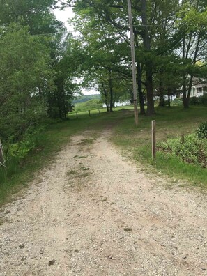 Stroll through the serene wooded area, surrounded by lush greenery and natural beauty.
