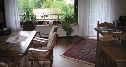 Vacation apartment with a great view