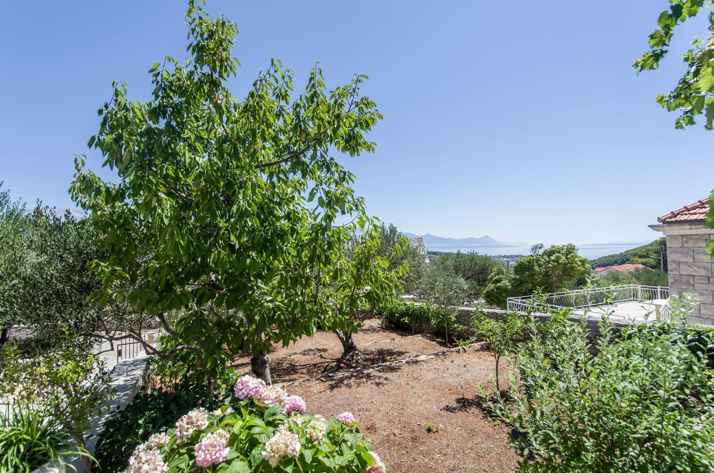 House (Three Bedroom Home with Terrace) | Exterior