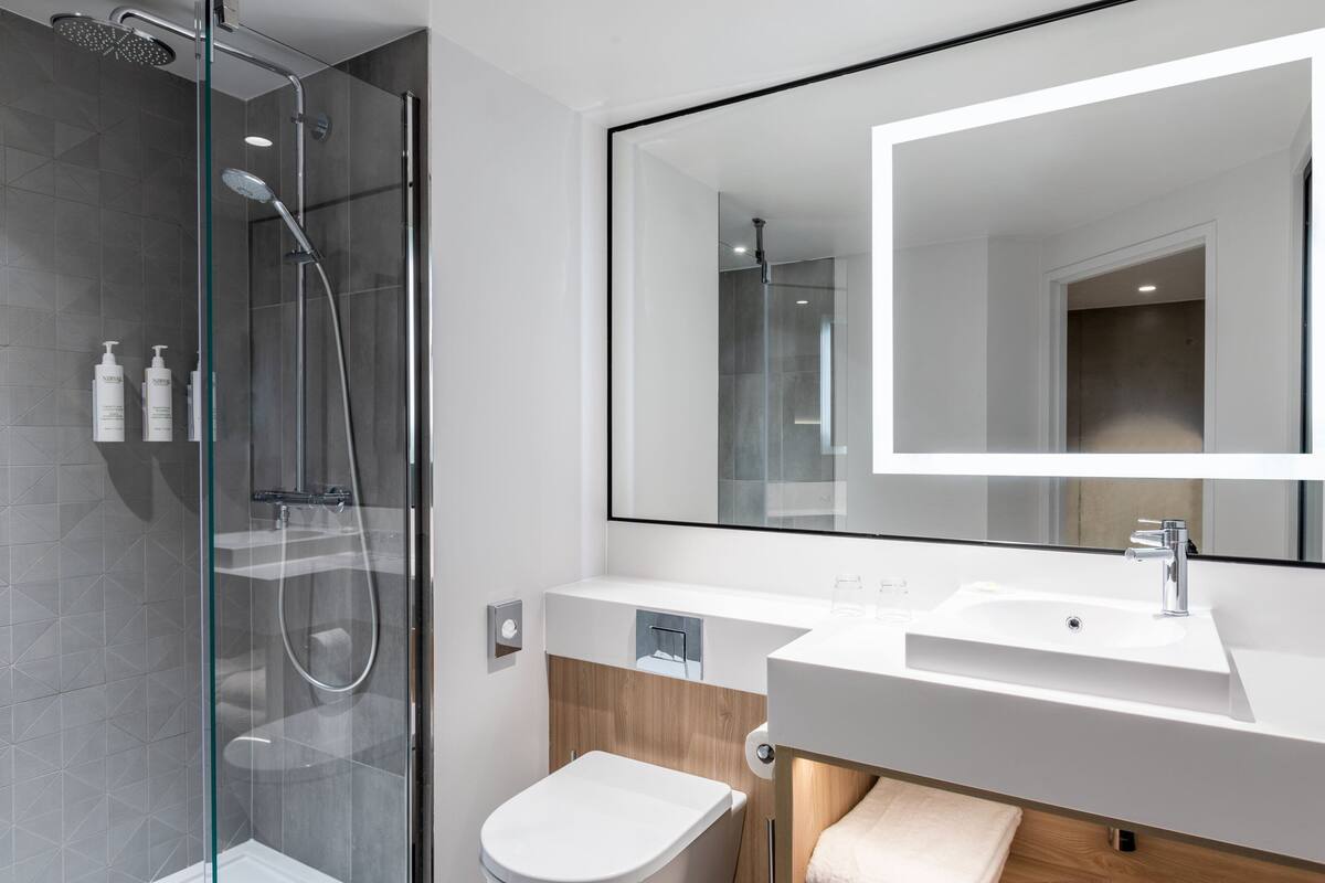 shower, free toiletries, hair dryer, towels