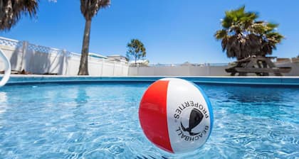 Immaculate 3BR/2 BA 2400+ Square Foot House w/Private Pool - No Detail Missed