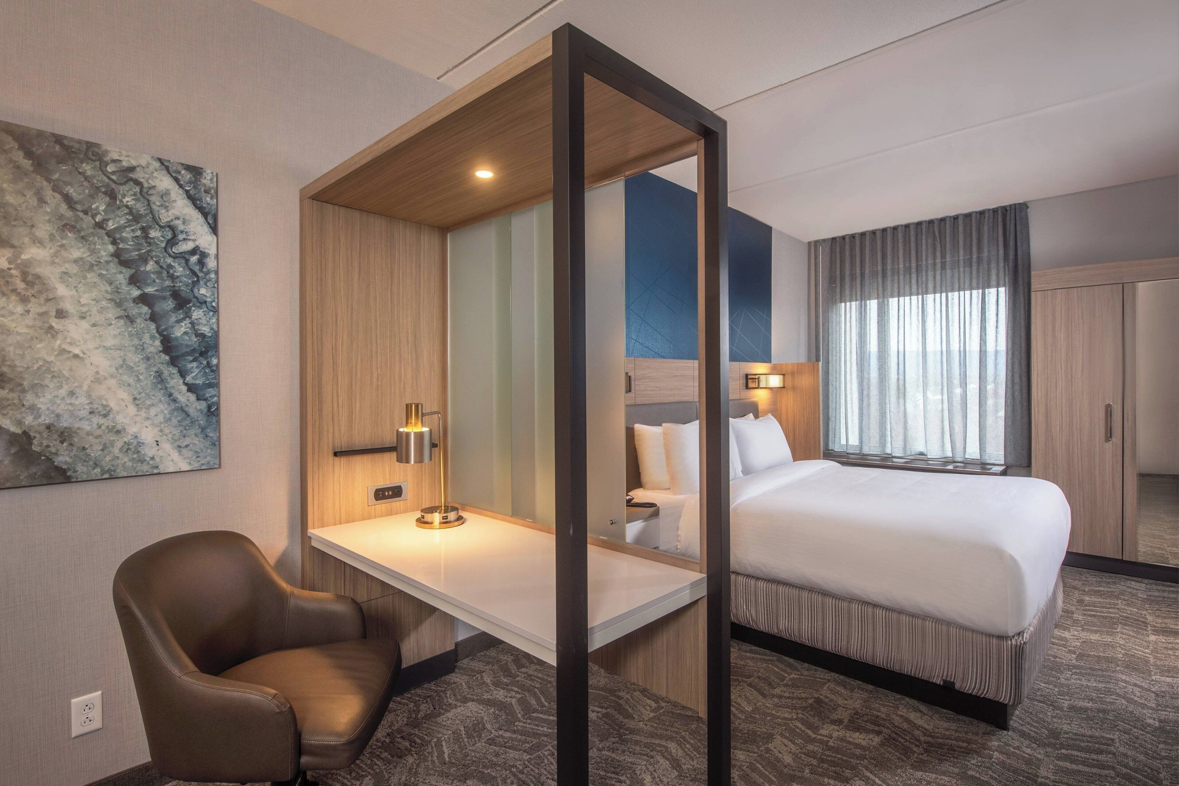 suite, 1 king bed | in-room safe, individually furnished, desk, laptop workspace