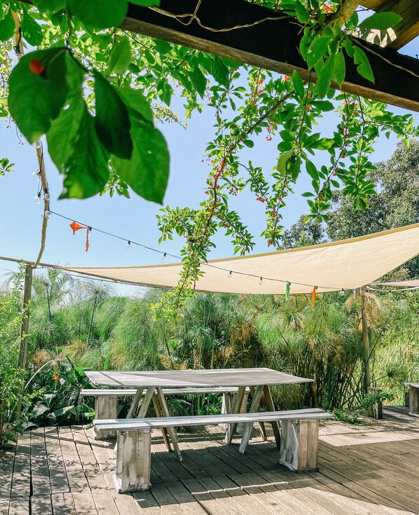 Un espacio de patio al aire libre con una mesa y sillas de madera, rodeado de exuberante vegetación y un toldo sombreado.