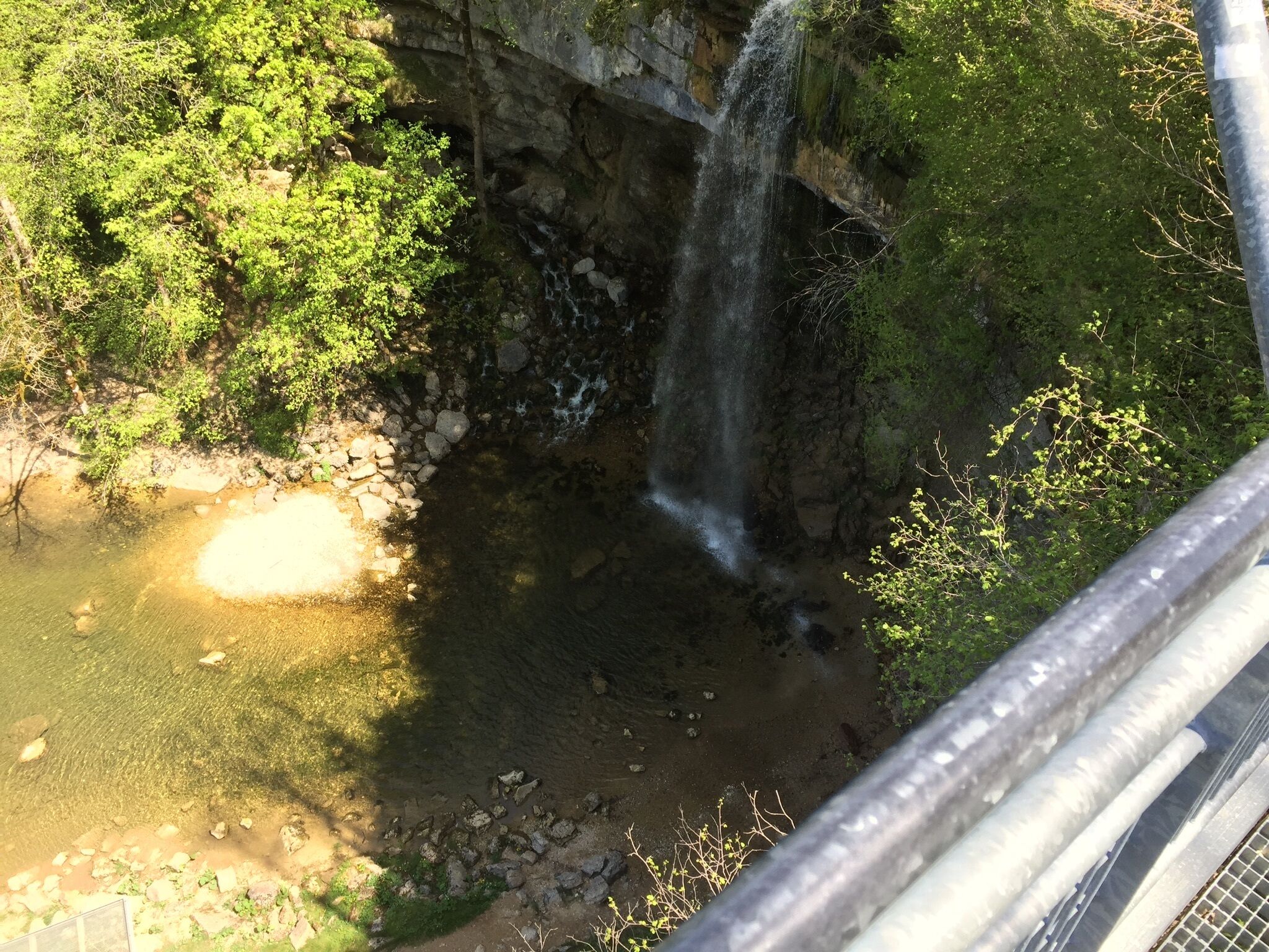 A waterfall cascading into a clear pool surrounded by lush greenery.