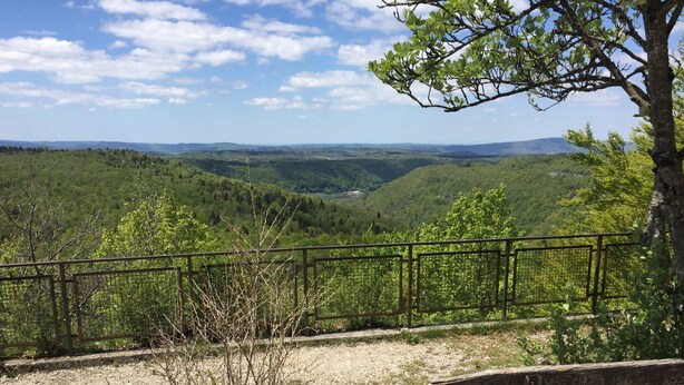 Un banc donnant sur un paysage pittoresque, avec une rambarde en métal et un arbre au premier plan.