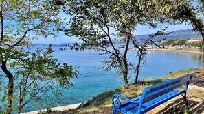 Un banc placé au bord d’une étendue d’eau calme, avec des arbres au premier plan et une ligne de rivage lointaine où se dressent des bâtiments.