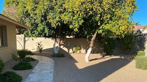 Un jardín ajardinado con un sendero de grava, un árbol y un edificio.