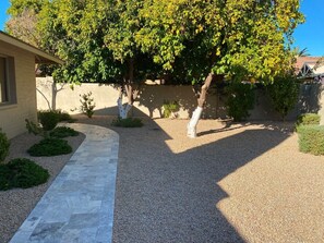 Stroll through the serene outdoor space, surrounded by lush trees and a tranquil atmosphere.