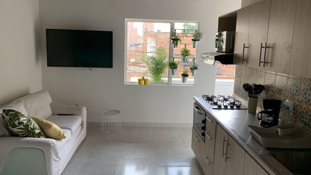 A modern kitchen with a built-in stove, a coffee maker, and a window with potted plants.