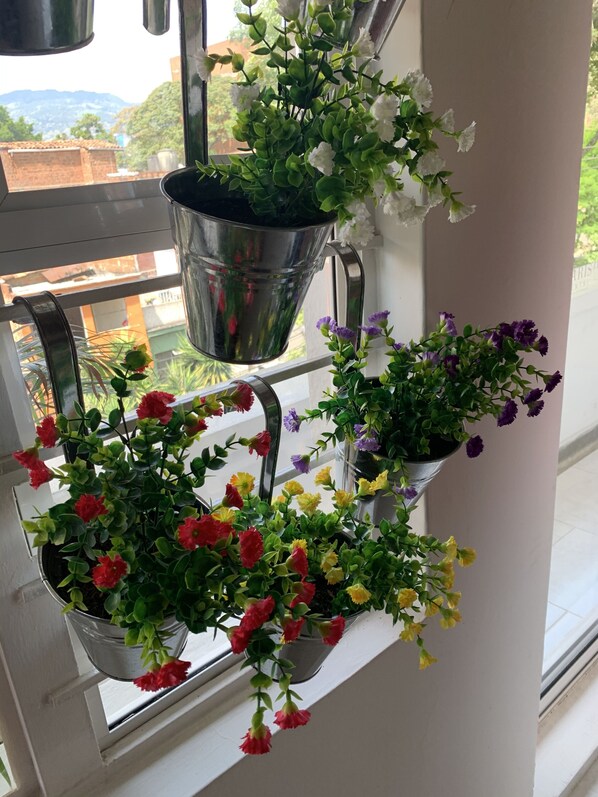 A window with three hanging flower pots containing various flowers.