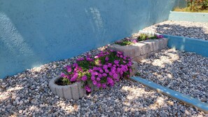 Property grounds - Villa Ernesta with Pool (Pula)