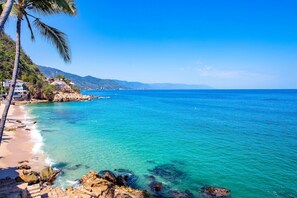 A coastal beach with clear turquoise waters, rocky shoreline, and a palm tree.