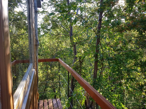 Property grounds - Condor Cabin over the trees for 1 person (Melipeuco)