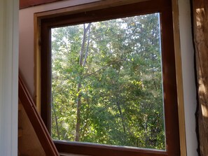 Interior - Condor Cabin over the trees for 1 person (Melipeuco)