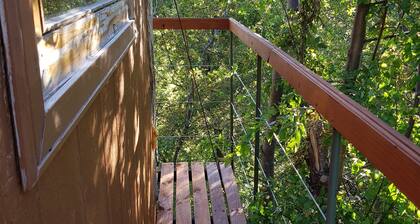 Condor Cabin over the trees for 1 person