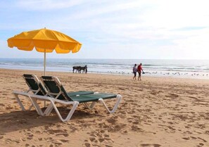Una spiaggia nelle vicinanze