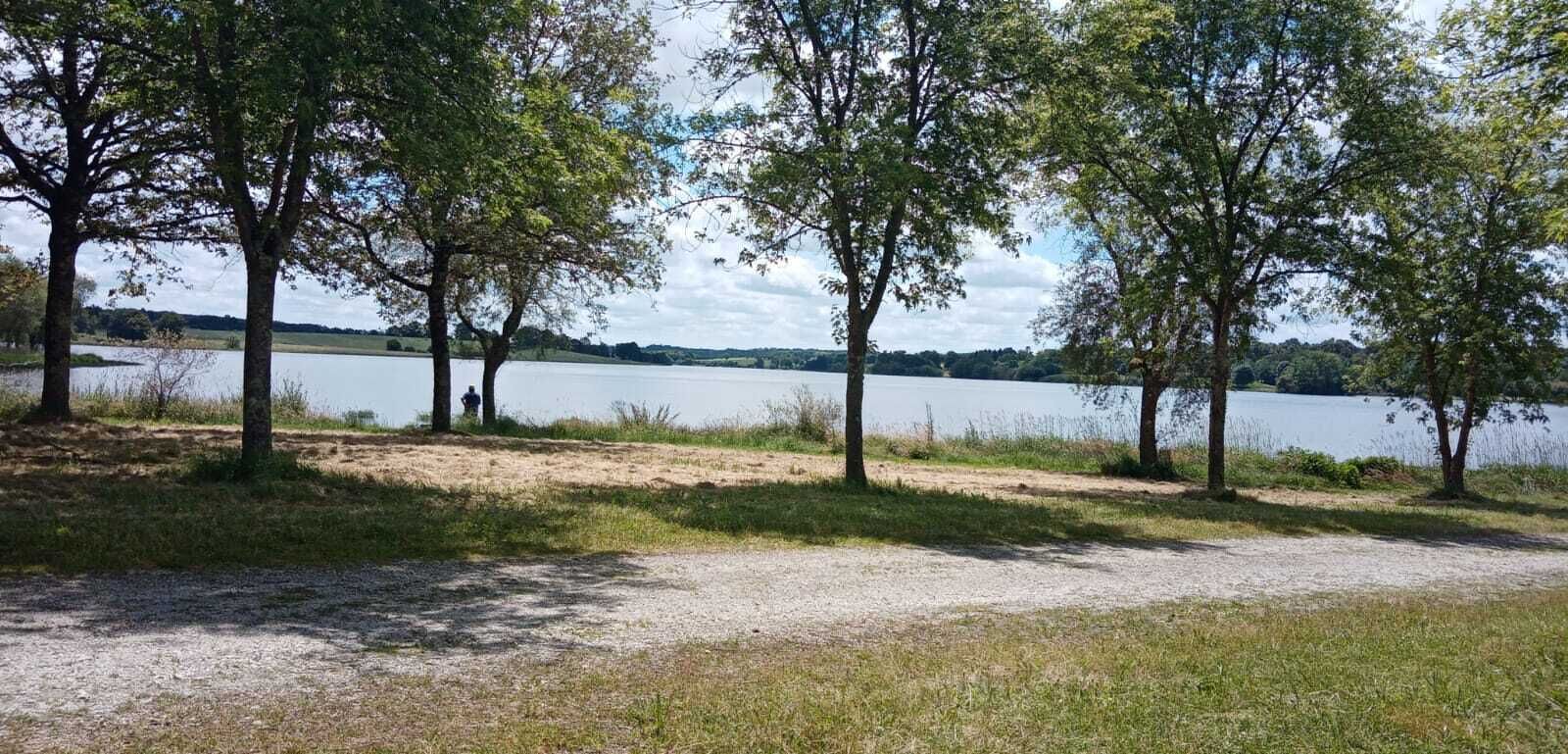 Ein Seeuferweg mit Bäumen und einem Kiesbereich, der zum Wassersrand führt.