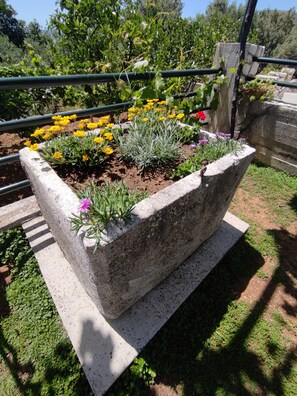 A concrete planter with yellow and purple flowers, surrounded by greenery.