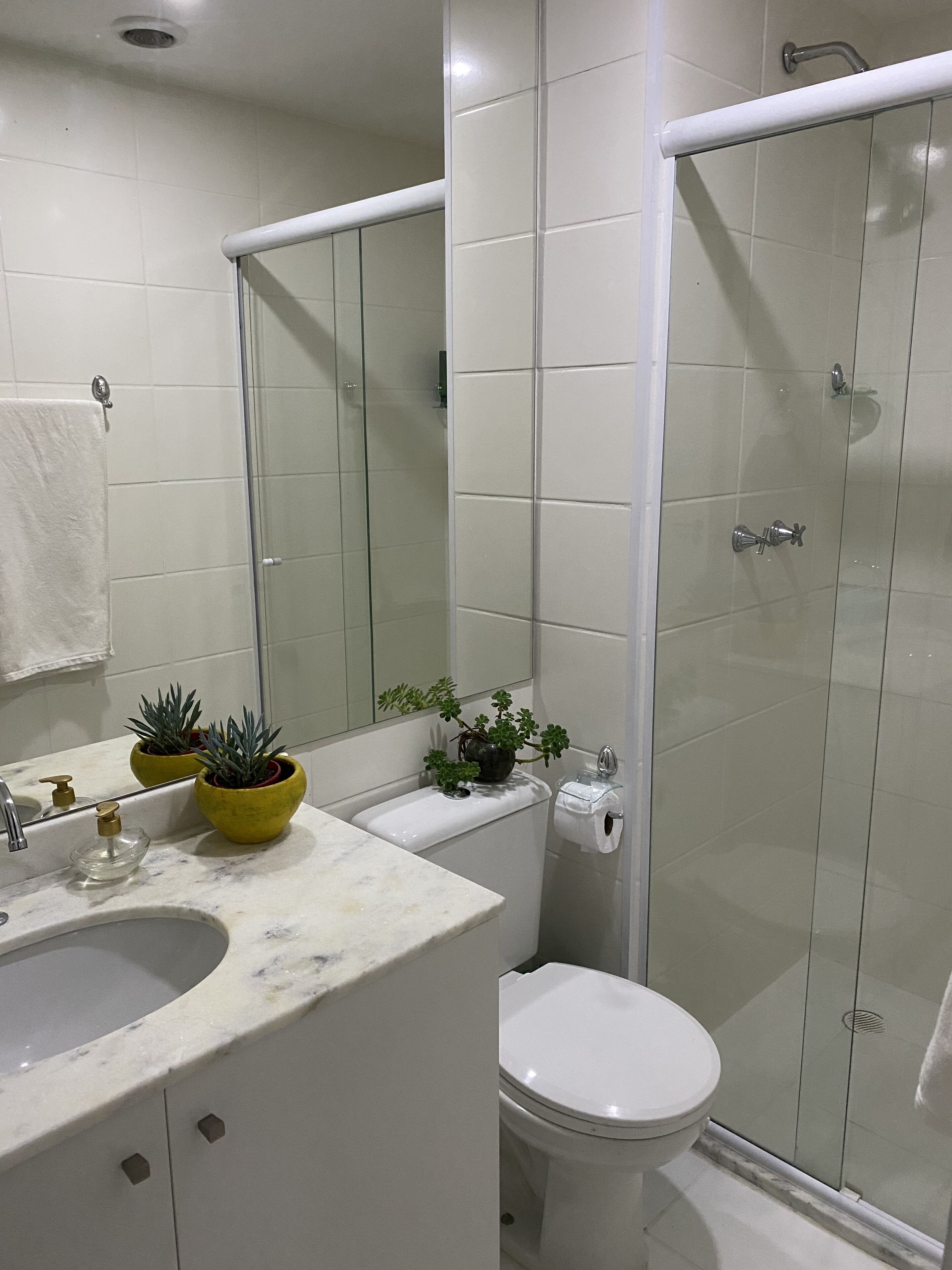 Chuveiro, secador de cabelo, toalhas de banho, sabonete