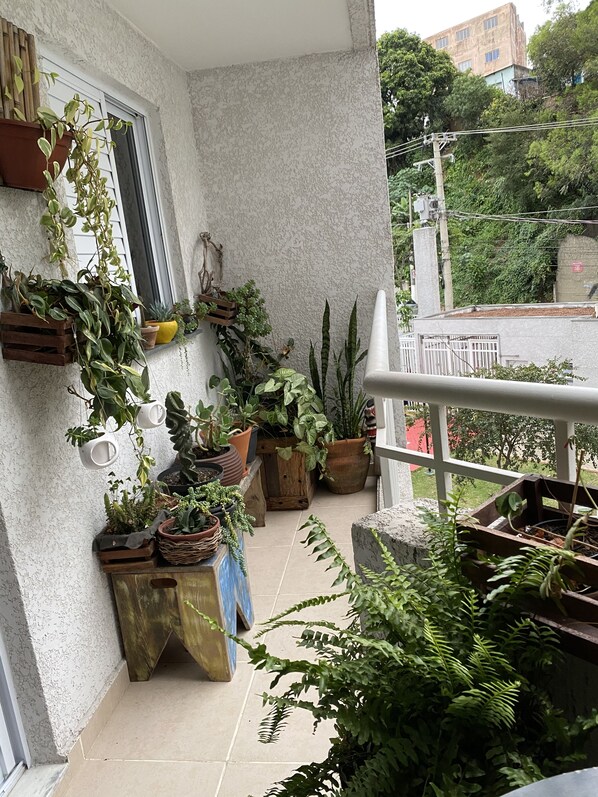 Área da propriedade