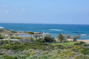 A coastal landscape with a clear view of the ocean, a small building, and surrounding vegetation.