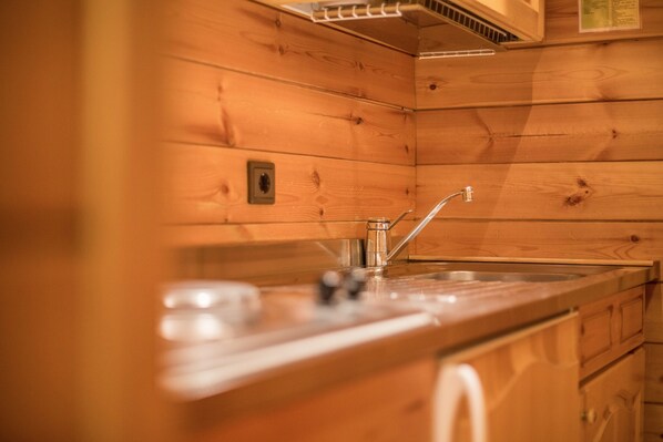 Interior de una cabaña de madera con cocina que incluye un lavamanos, armarios y una encimera.