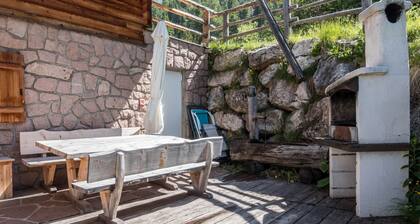 Ski-In Vacation Home "Thaleralm" on the Alp avec vue sur la montagne, terrasse et jardin