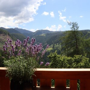 A balcony with a view of a mountainous landscape.