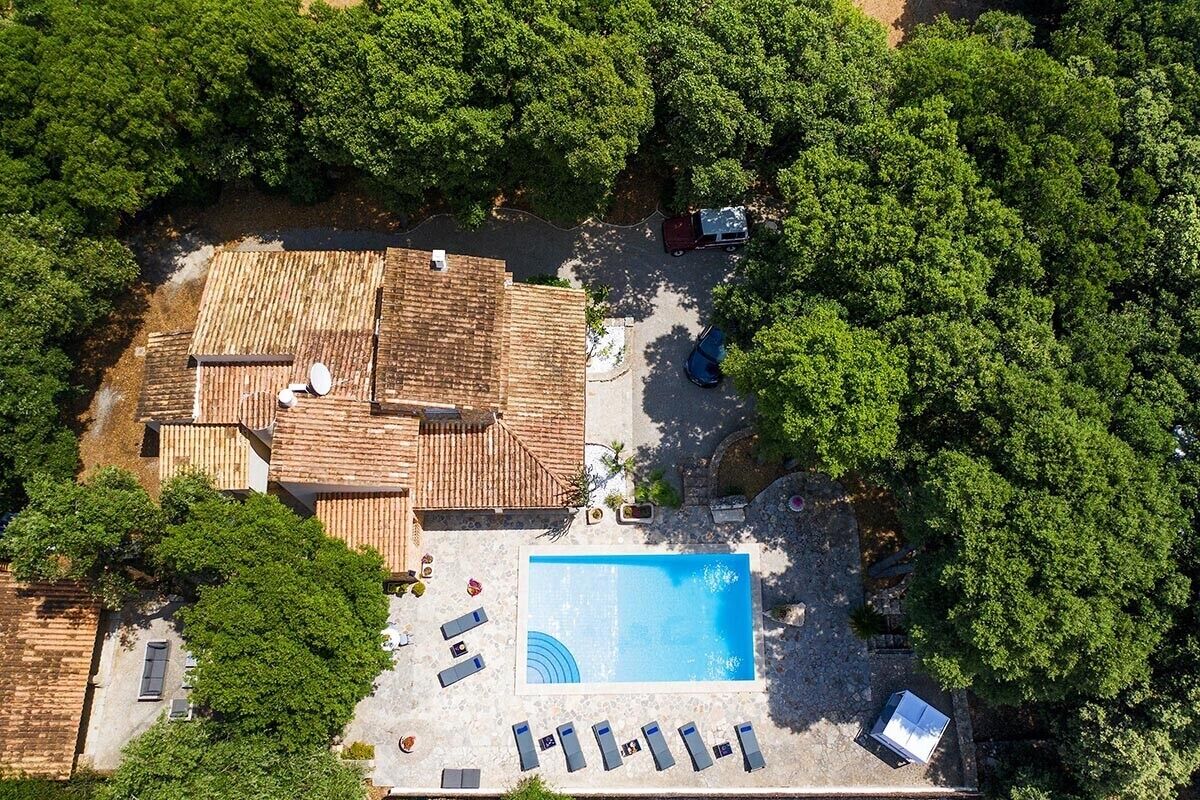 Vue aérienne d’une propriété dotée d’une piscine, de chaises longues et d’un patio couvert, le tout entouré d’arbres.