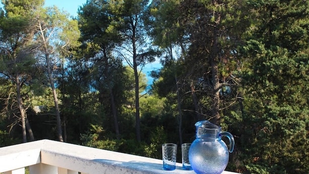 A balcony with a white railing overlooking a forested area.