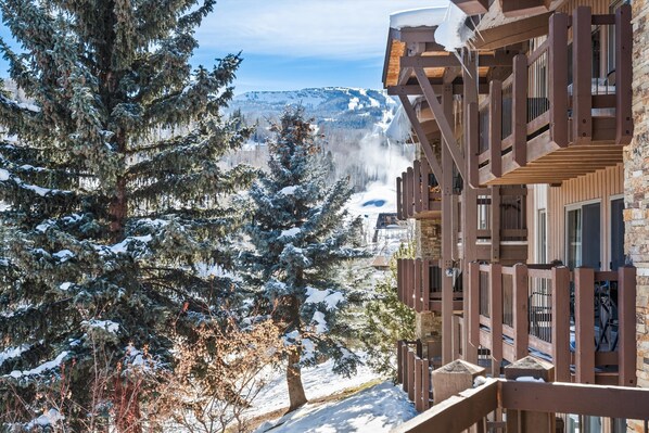 Property grounds - Prime Snowmass Retreat Ski Bridge, Walk to Village - 29C by RedAwning (Snowmass Village)