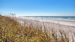 Ein Strand mit Sand und vereinzelter Vegetation im Vordergrund.