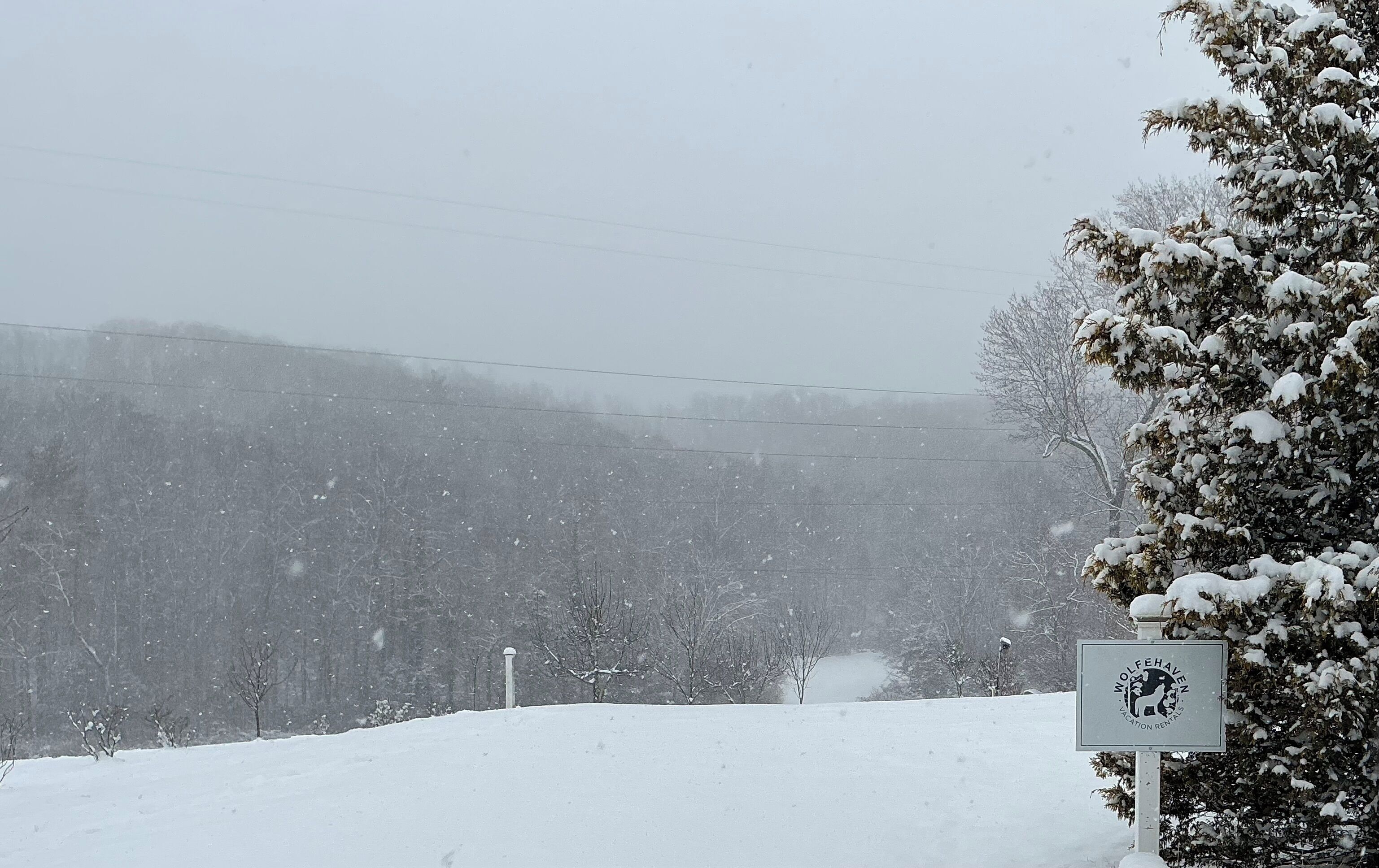 A snow-covered landscape with a sign indicating a location for wolf haven and location rentals.